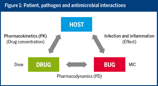 Figure 1: Patient, pathogen and antimicrobial interactions