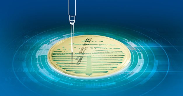 Komplettlösung für die automatisierte Probenverarbeitung: mehr Proben, schnellere Verarbeitung