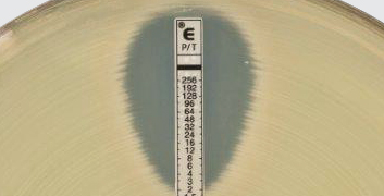 Resistente Keime entwickeln sich. ETEST<sup>®</sup> hält Schritt.