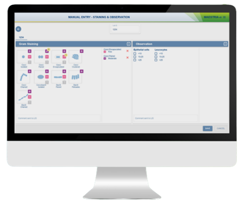Maestria routine activities