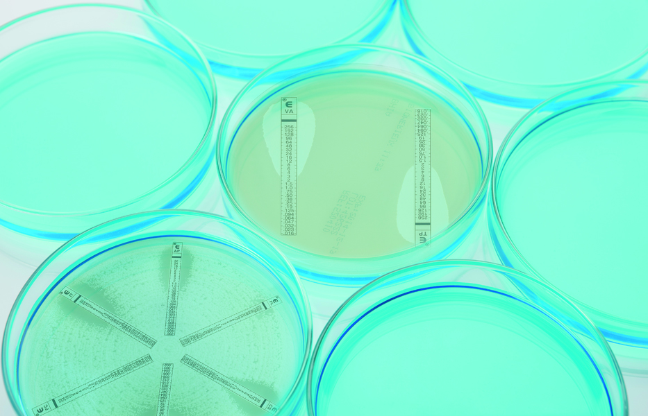 New ETEST® Ceftolozane/Tazobactam (C/T 256): MIC determination 