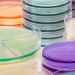La gamme bioMérieux ETEST<sup>®</sup>  traditionnelle s’enrichit de produits optimisant le traitement des infections compliquées par BMR