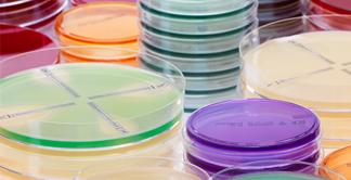 Nowe testy w klasycznej linii bioMérieux ETEST<sup>®</sup> pozwalają zoptymalizować leczenie w kierunku powikłanych infekcji MDRO